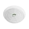 Crescent 12" Heavy Duty Clear Saucer