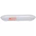 CWP 14" Clear Designer Centerpiece Plant Tray Retail Ready Packaging