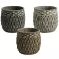 MCarr 54pc Short Seagrass Planter Pallet Mix