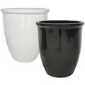 MCarr 12pc Tall Aquapot Planter Pallet Mixed Colors