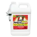 Nature's Mace 1gal Squirrel Repellent RTU