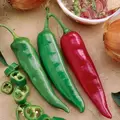 Peppers, Garden Salsa Hybrid Treated - 10,000 Seed Count