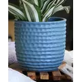 Palm Spring 5.5" Honey Comb Planter Lbl