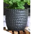 Palm Spring 6.5" Honey Comb Planter Sgy