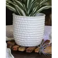 Palm Spring 9" Honey Comb Planter Mwh