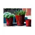Verandah Lilac Size A Trd