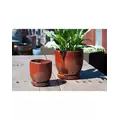 Verandah 7" Oxide Maui Orchid Pot
