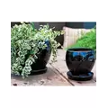 Verandah Gerberba Size A Blk