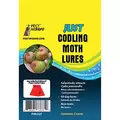 Pest Wizard 3pk Just Codling Moth Lure