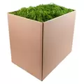 SuperMoss 25