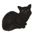 MCarr Cat Sitting Down Meowing Black