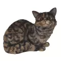 MCarr Cat Sitting Down Meowing Tiger Gray