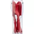 Corona 3pc Kids Garden Tool Set