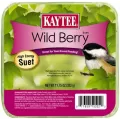 Kaytee 11.75oz Wild Berry Suet