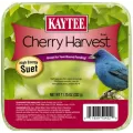 Kaytee 11.75oz Cherry Harvest Suet