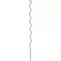 Gardener's Blue Ribbon 5' Tomato Twist Red