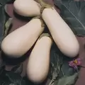 Eggplant, Casper - 10,000 Seed Count