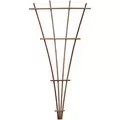 Kelmar 72" Fan Redwood Trellis