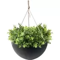 Algreen 14" Acerra Hanging Basket Black