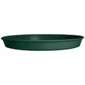 HC 14" Prima Saucer in Evergreen