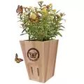 Panacea Butterfly Shelter w/ Wood Planter