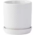 PHG 5"x5.5" Dotted Cylinder Planter Bright White 8/CS