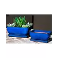 Verandah 9x7 Rosemary Bonsai F Blue