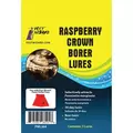Pest Wizard 3pk Raspberry Crown Borer Lure