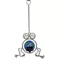 E-V LunaLite Hanging Bouncer Frog