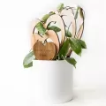 Treleaf Trellove 4 Hearts Regular Staked Cherry Finish Classic Collection