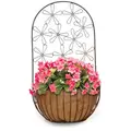 Deer Park Multi-Daisy Wall Planter w/ Coco Liner