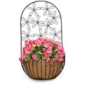 Deer Park Multi-Daisy Wall Planter w/ Coco Liner Black