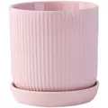 PHG 11"x11.5" Dotted Cylinder Planter Baby Pink 2/CS