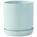 PHG 5"x5.5" Dotted Cylinder Planter Lavender 8/CS