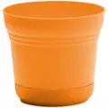 Bloem 5" Saturn Planter Mango