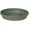 Bloem 8" Terra Saucer Basil