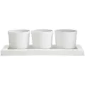 Bloem Trio Flight Planter Vanilla Bean