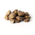 SuperMoss 2qt Bag Stones Cyan