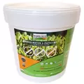 TOPBUXUS 800ct Tablets Boxwood Restore/Protect Commercial Market Only