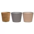 VCS 4.5" Textured Paper Planters