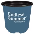 Dillen True 02.00 Gallon Endless Summer Nursery Pot, Thermoformed, 30 per Bundle, 112 Bundles Per Pallet, 9.50in x 9.25in, 2.00Gal, 2Gallon
