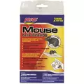 Pic 2pk Mouse Glue Boards