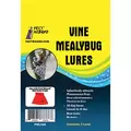 Pest Wizard 3pk Vine Mealybug Lure