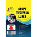 Pest Wizard 3pk Grape Mealybug Lure