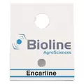 Encarsia formosa, 60 X 100 cards ( Whitefly )