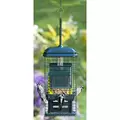 Brome Bird Care 8.625"x4.5"x18.625" SquirrelBuster Suet Feeder