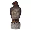 Bird B Gone Hawk