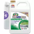 Captain Jacks 128oz Deadweed Brew RTU Pistol