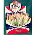 LE Cooke 1"x.008"x150' Miracle Garden Tie Tape Giant Green