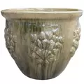 MCarr 5pc Hibiscus Flat Rim Round Planter Jungle Rain